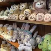 みみの画像