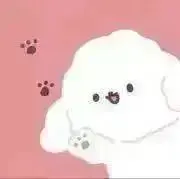 キムの画像