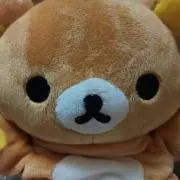 くまきち