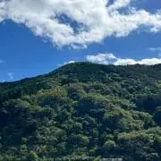 Kiramekiの画像
