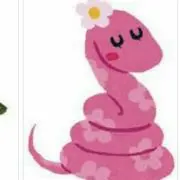 みの画像