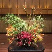 KIYOKO1212の画像