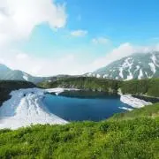 即購入可　ティムの画像