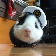 M(プロフィール必読♪)