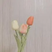 nazuの画像