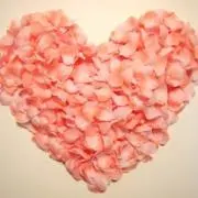 ♡︎N♡︎の画像