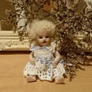 あぽろの画像