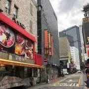シロの画像