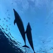 りっちゃん
