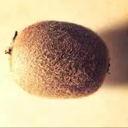 キュウイ