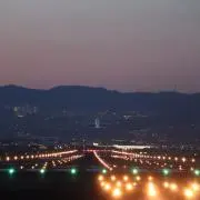 だいだいの画像