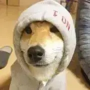 なかやんの画像