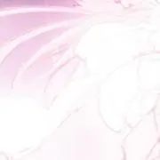 こんころの画像