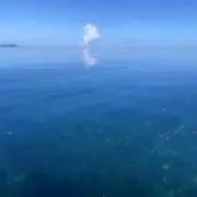 まゆっちの画像