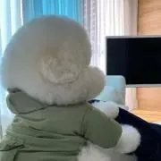 あいの画像