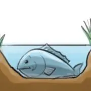 おとんけんの画像