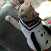 ヒスミニ大好きo(^o^)o