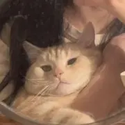 Ninhouenの画像