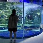 かおるの画像