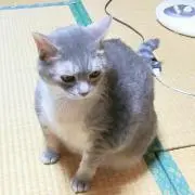 ゆうすけ