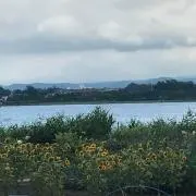 まえっちの画像