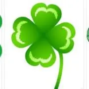 クローバー　☘️即購入歓迎ですの画像