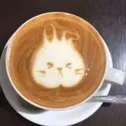 あんこ⚫︎6/14-18発送お休み⚫︎の画像
