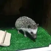 なぎ(断捨離中)まとめ買いで割引中✨️の画像
