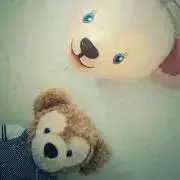 くまの画像