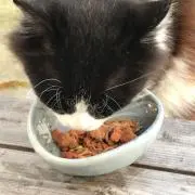 紅