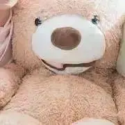 knの画像