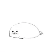 あざらしの画像