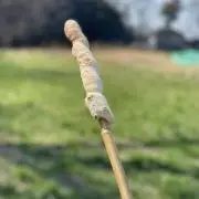 マミマミマの画像