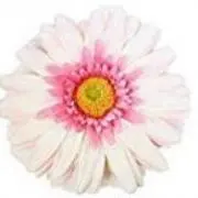 まあみ♡プロフ必読