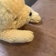 ろりーの画像