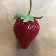 はるみん