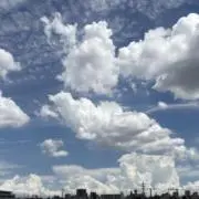 かい