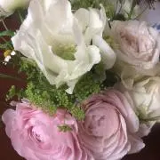 らん 購入前にコメントお願いします♪