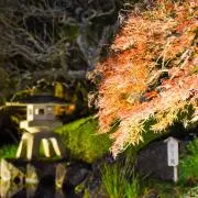 Karinの画像