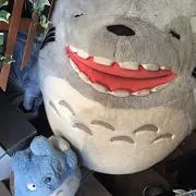はるみる