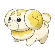 さよりん!まとめ買いでお安くします!!の画像