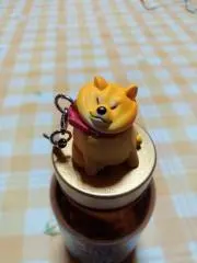 はむの画像