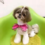 七菜