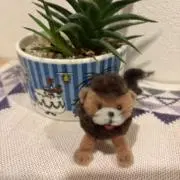 つきの画像
