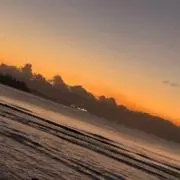 A.M