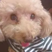 KAO購入時プロフィール確認して下さいの画像