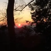 すんの画像