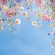 にこ ※プロフご覧下さい¨̮⃝の画像