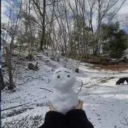 ゆきだるまの画像