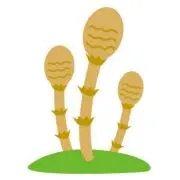 つくし